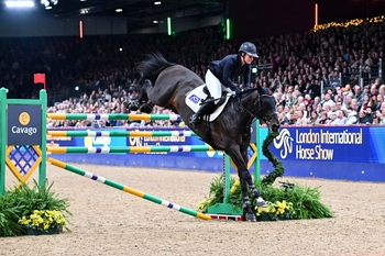 Gemma Stevens and Envoy Merelsnest Z Win The Cavago Six Bar 